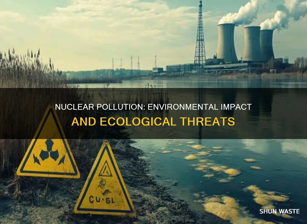 how does nuclear pollution affect the environment