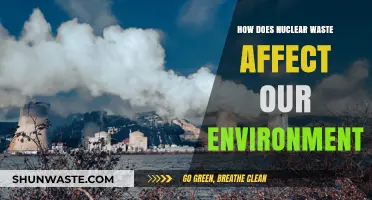 Nuclear Waste's Environmental Impact: Risks, Consequences, and Sustainable Solutions