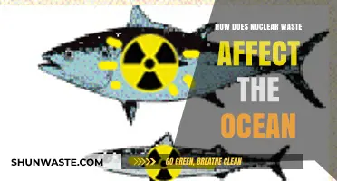 Ocean's Peril: Nuclear Waste Impact on Marine Ecosystems Explained