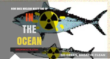 Ocean's Nuclear Secret: How Waste Enters Marine Ecosystems