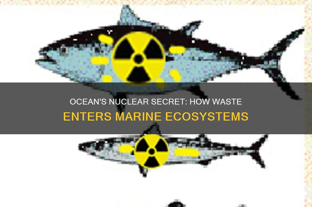 how does nuclear waste end up in the ocean