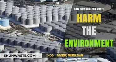 Nuclear Waste's Environmental Impact: Risks, Hazards, and Long-Term Consequences
