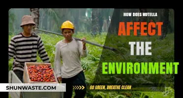 Nutella's Environmental Impact: Sustainability Concerns and Palm Oil Effects