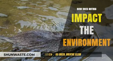 Nutria's Environmental Impact: Uncovering Their Destructive Role in Ecosystems