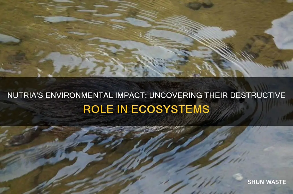 how does nutria impact the environment