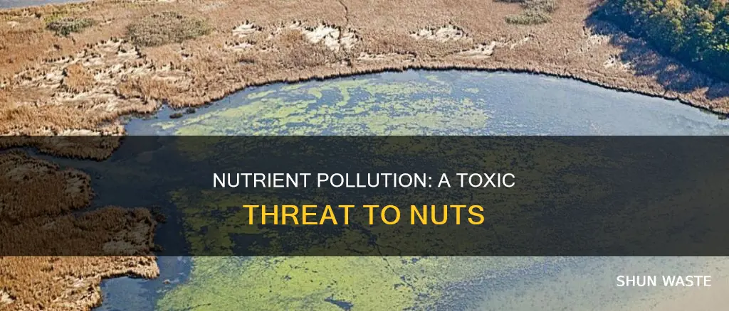 how does nutrient pollution affect nut