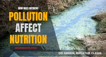 Nutrient Pollution: Nutrition's Unseen Adversary