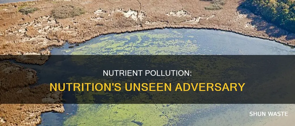 how does nutrient pollution affect nutrition