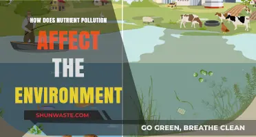 Nutrient Pollution's Devastating Impact on Ecosystems and Environmental Health