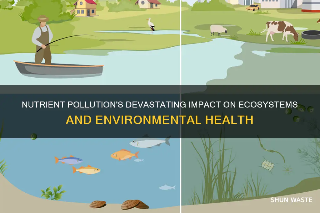 how does nutrient pollution affect the environment