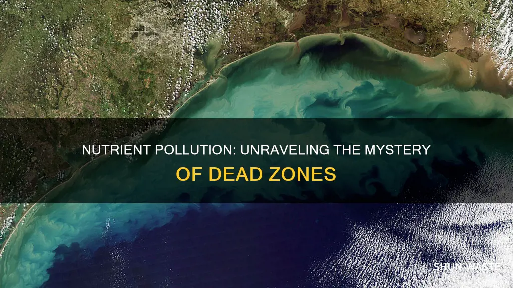 how does nutrient pollution cause dead zones