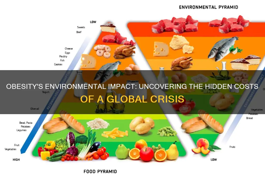 how does obesity affect our environment