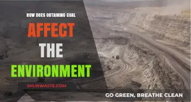 Coal Extraction's Environmental Impact: Pollution, Habitat Loss, and Climate Change