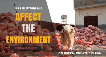 Environmental Impact of Salt Extraction: A Comprehensive Analysis