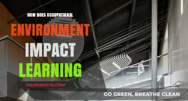 Occupational Environment's Role in Shaping Learning Outcomes and Growth