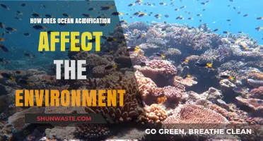 Ocean Acidification's Impact: Unraveling Environmental Consequences and Ecosystem Threats