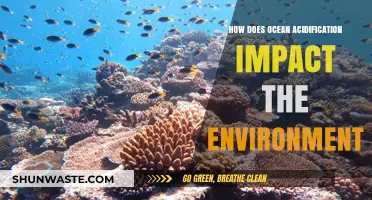 Ocean Acidification's Devastating Effects on Marine Ecosystems and Beyond