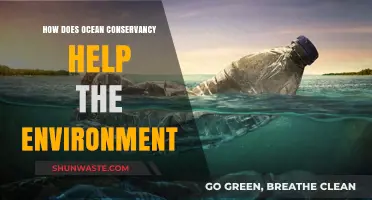 Ocean Conservancy: Protecting Marine Ecosystems for a Healthier Planet