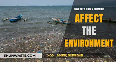Ocean Dumping's Devastating Impact on Marine Ecosystems and Environment