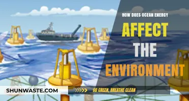 Ocean Energy's Environmental Impact: Benefits, Challenges, and Sustainability Insights