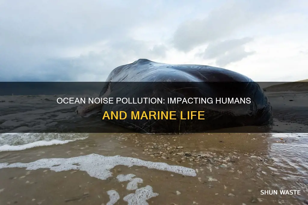 how does ocean noise pollution affect humans