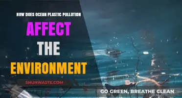 Ocean Plastic Pollution: Devastating Environmental Impacts and Urgent Solutions Needed