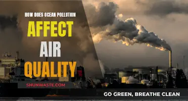 Ocean Pollution: Impacting Air Quality and Our Health
