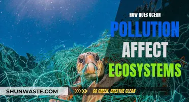 Ocean Pollution's Devastating Impact on Marine Ecosystems