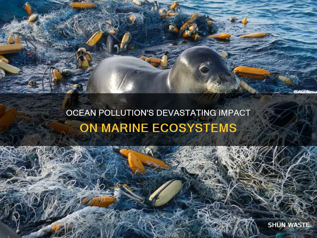 how does ocean pollution affect ecosystems