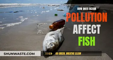 Ocean Pollution: Impact on Fish and Their Habitat