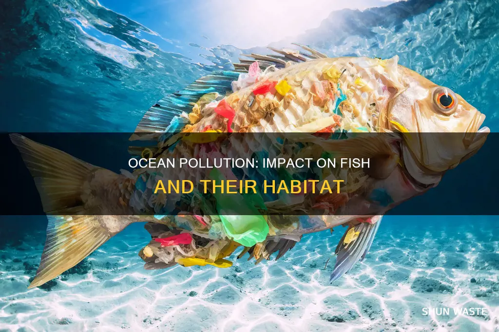 how does ocean pollution affect fish