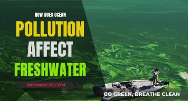 Ocean Pollution's Impact on Freshwater Sources and Systems