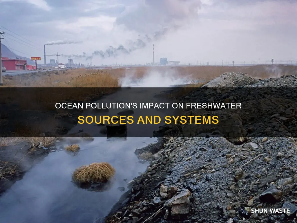 how does ocean pollution affect freshwater