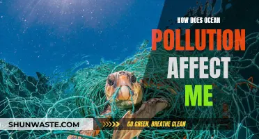 Ocean Pollution: Impacting Our Lives and Oceans