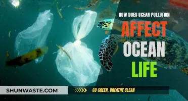 Ocean Pollution: Devastating Impact on Marine Life