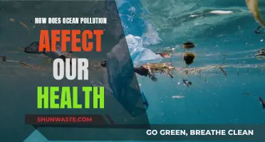 Ocean Pollution: Our Health at Risk