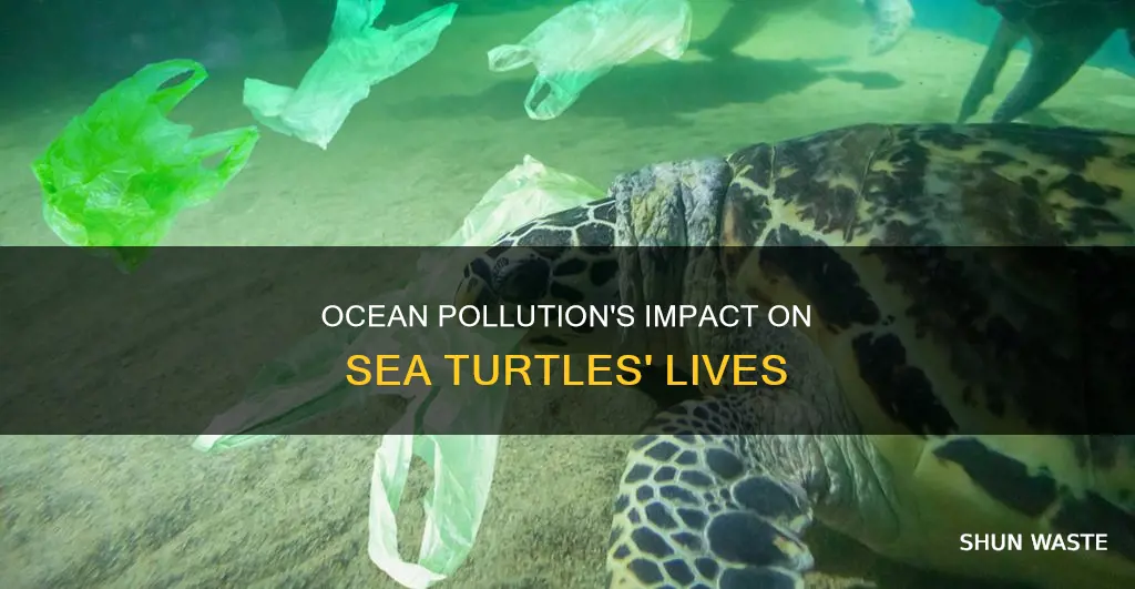 how does ocean pollution affect sea turtles