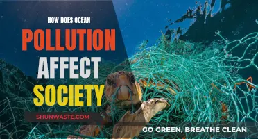 Ocean Pollution: Impacting Society and Our Future