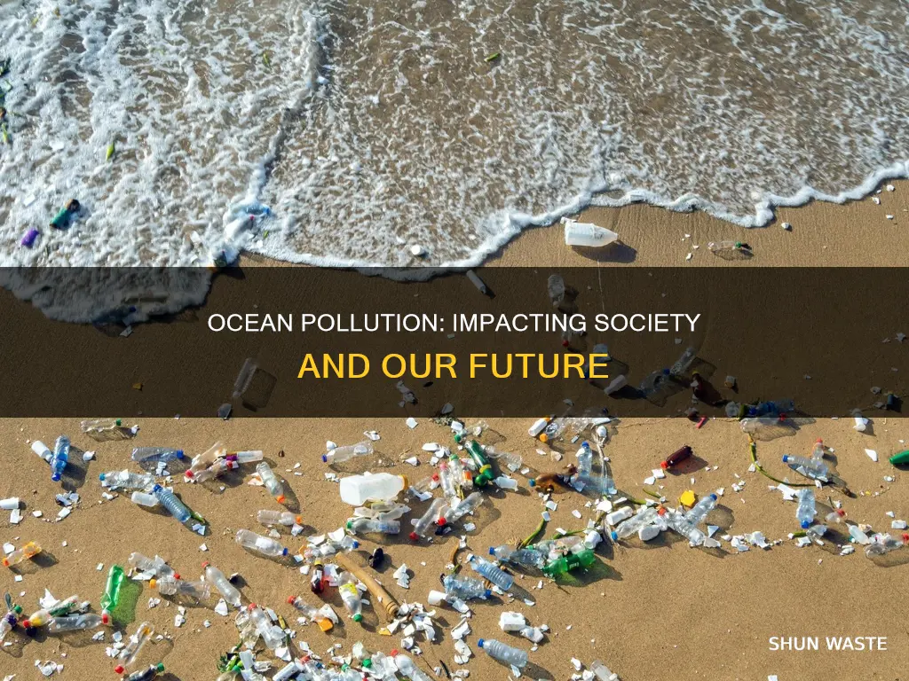 how does ocean pollution affect society