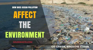 Ocean Pollution's Devastating Impact on Marine Ecosystems and Our Planet