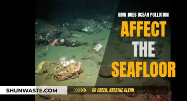 Ocean Pollution's Impact on the Seafloor: A Hidden Crisis