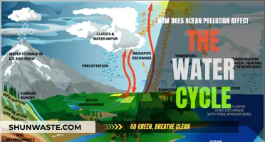 Ocean Pollution: Water Cycle Disruption and Its Consequences