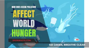 Ocean Pollution's Impact on World Hunger