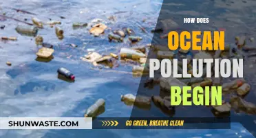 Ocean Pollution: The Human Impact on Our Seas