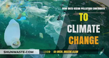 Ocean Pollution's Climate Change Impact