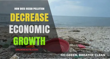 Ocean Pollution: Stalling Economic Growth