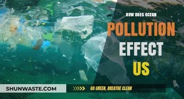 Ocean Pollution: Impacting Our Health and Environment