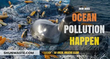 Ocean Pollution: Human Actions, Devastating Reactions