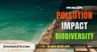 Ocean Pollution: Devastating Effects on Marine Biodiversity