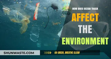 Ocean Trash Crisis: Devastating Environmental Impacts and Urgent Solutions Needed